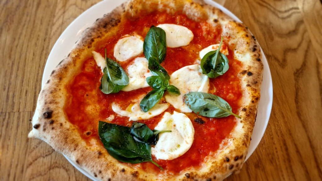Fermento pizza bufala