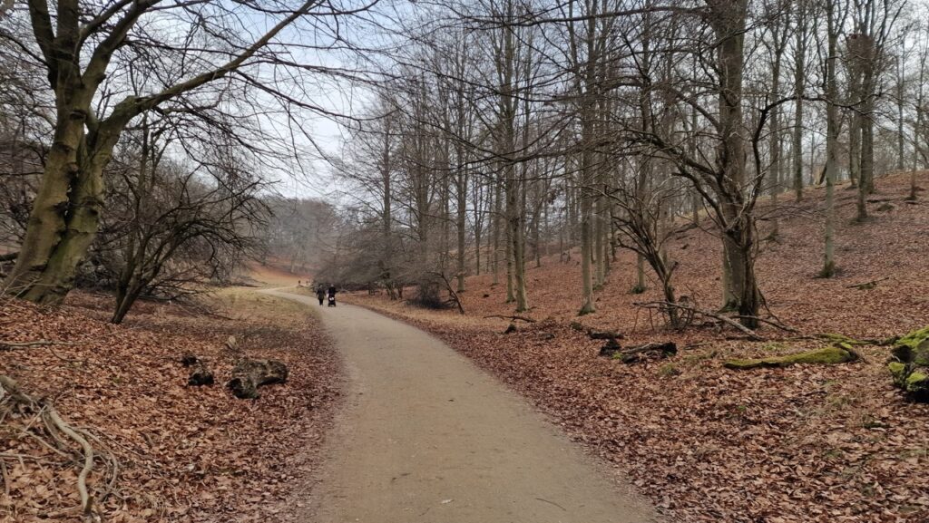 Jægersborg Dyrehave