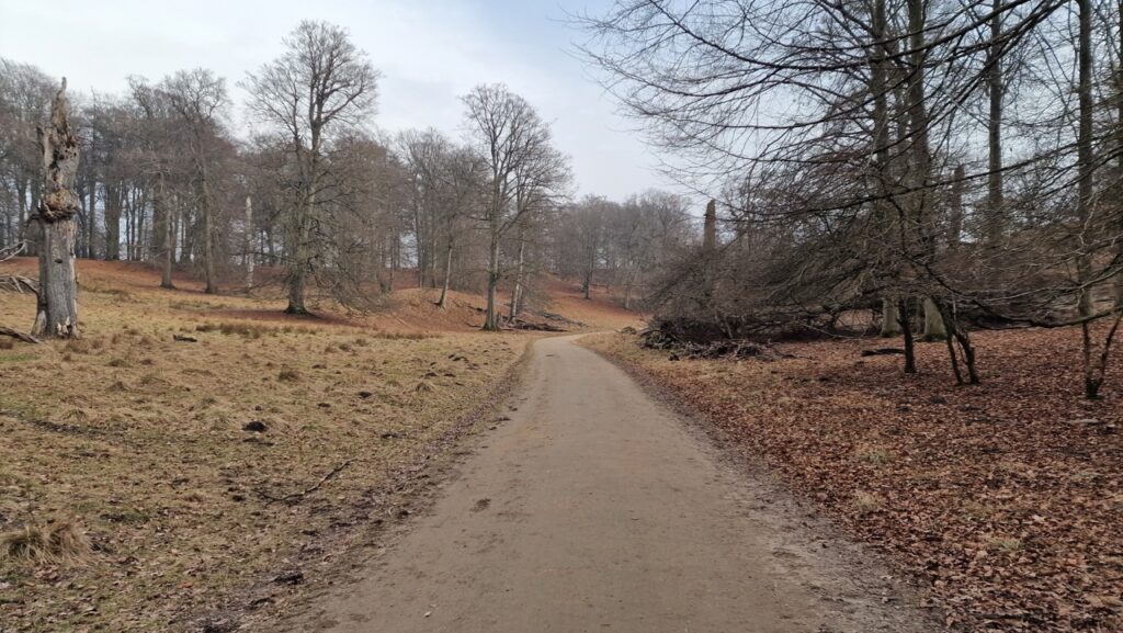 Jægersborg Dyrehave