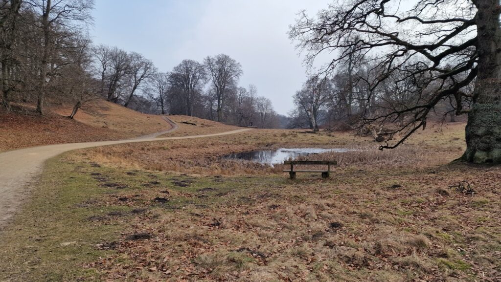 Jægersborg Dyrehave