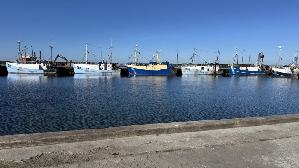 Halászhajók Gilleleje kikötőjében