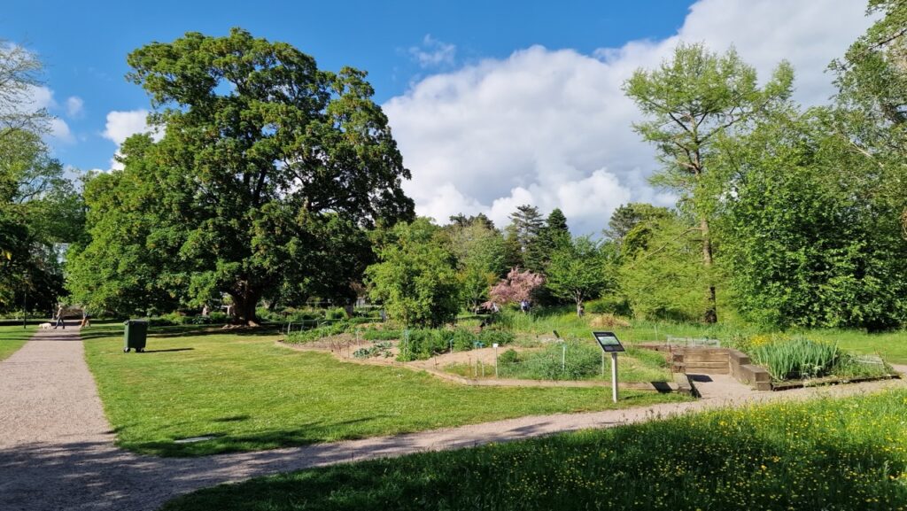 Lund. Botanikus kert